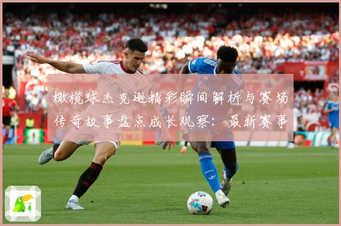 橄榄球杰克逊精彩瞬间解析与赛场传奇故事盘点成长观察：最新赛事动态与深度分析